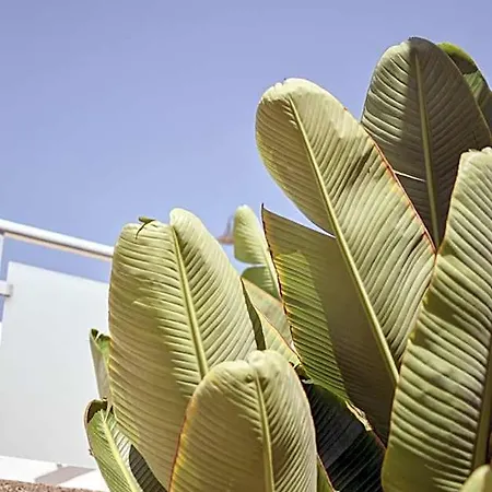 Makai San Agustin (Gran Canaria)